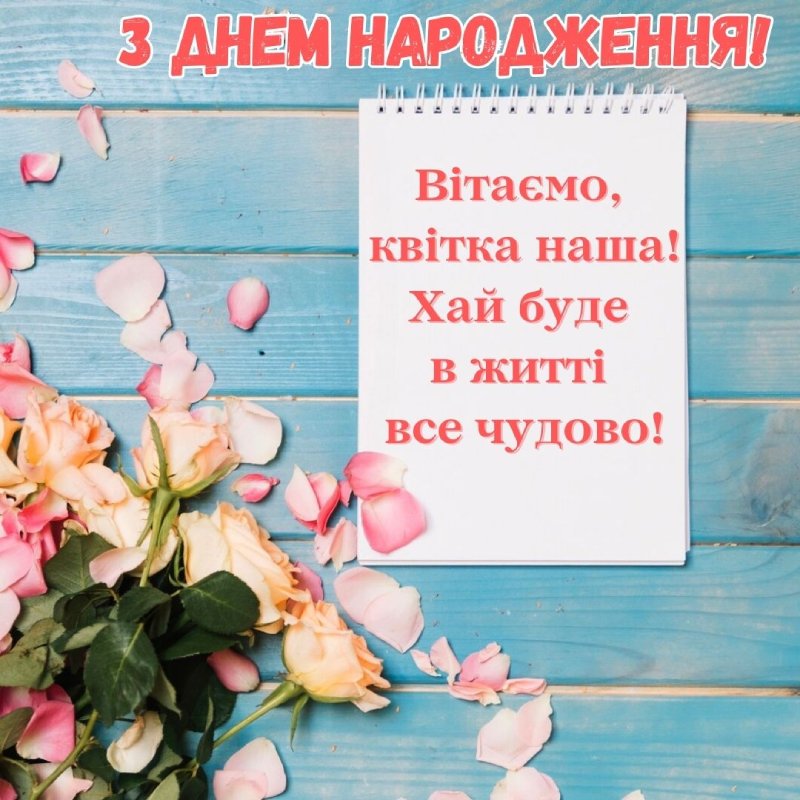 з днем народження племінниці